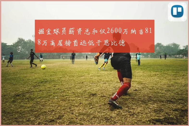 掘金球员薪资总和仅2600万纳吉818万高居榜首远低于恩比德